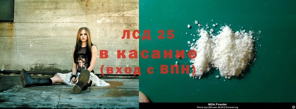 PSILOCYBIN Алзамай