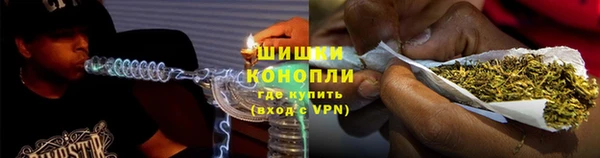 PSILOCYBIN Алзамай