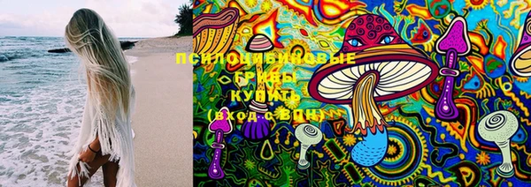 PSILOCYBIN Алзамай