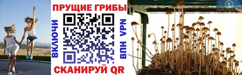 Псилоцибиновые грибы Magic Shrooms  наркошоп  Пермь 